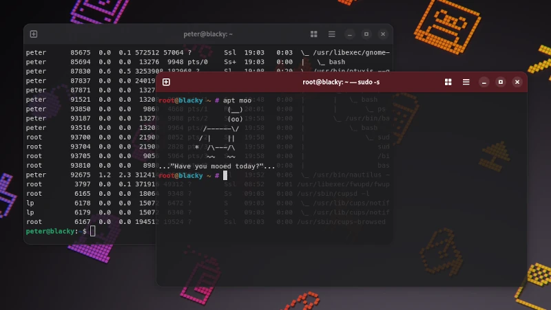 ptyxis Terminal-Emulator mit Transparenzeffekt